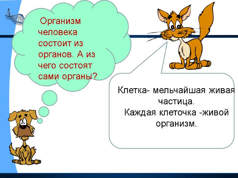 Организм человека состоит из органов. А из чего состоят сами органы? Клетка- мельчайшая живая